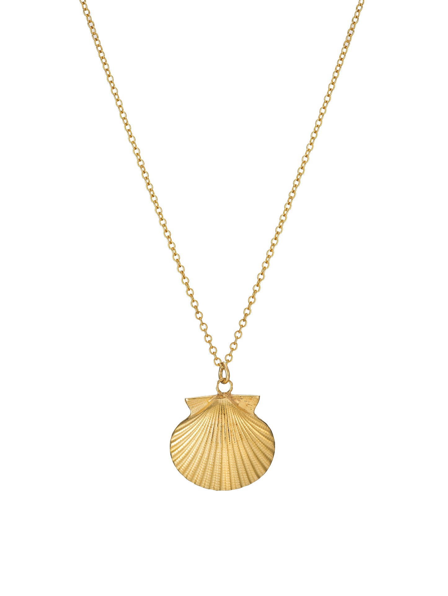 Gold Shell Necklace