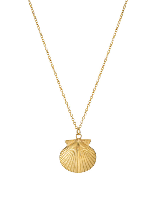 Gold Shell Necklace