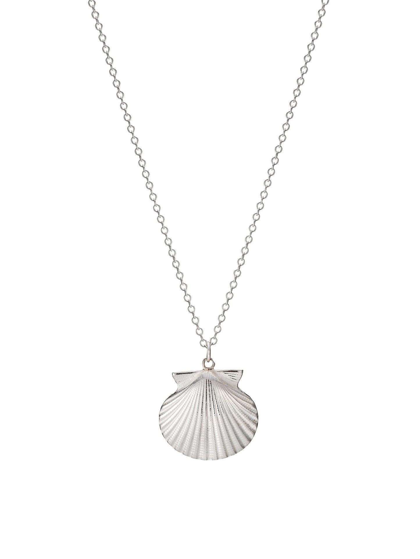 Silver Shell Necklace